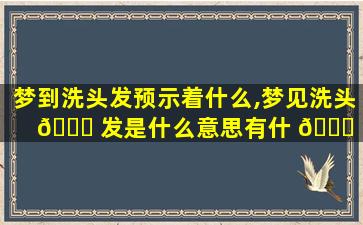 梦到洗头发预示着什么,梦见洗头 🐎 发是什么意思有什 🐒 么预兆